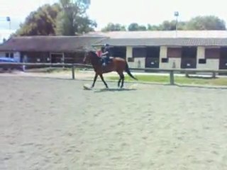 DAYLIGHTC & LOTT  Sancy 2012