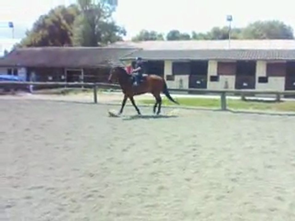 DAYLIGHTC & LOTT  Sancy 2012