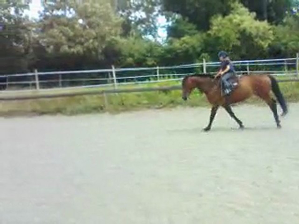 DAYLIGHT C &  LOTT  Sancy  2012  (2)