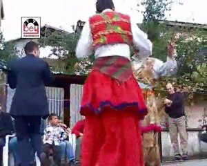 Çeşitli Sanatçılar - Misket