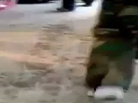 فري برس حماه المحتلة أقتحام الشبيحه لسوق الطويل حماه 29 3 2012