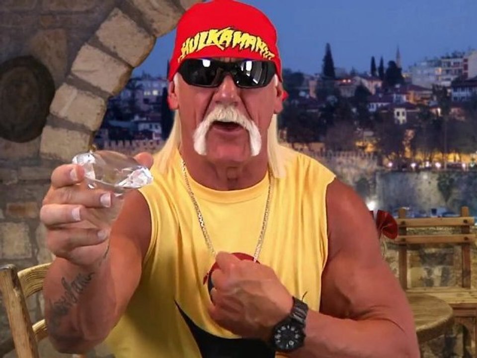 Hulk Hogan Proposes to a Fan's Girlfriend for him