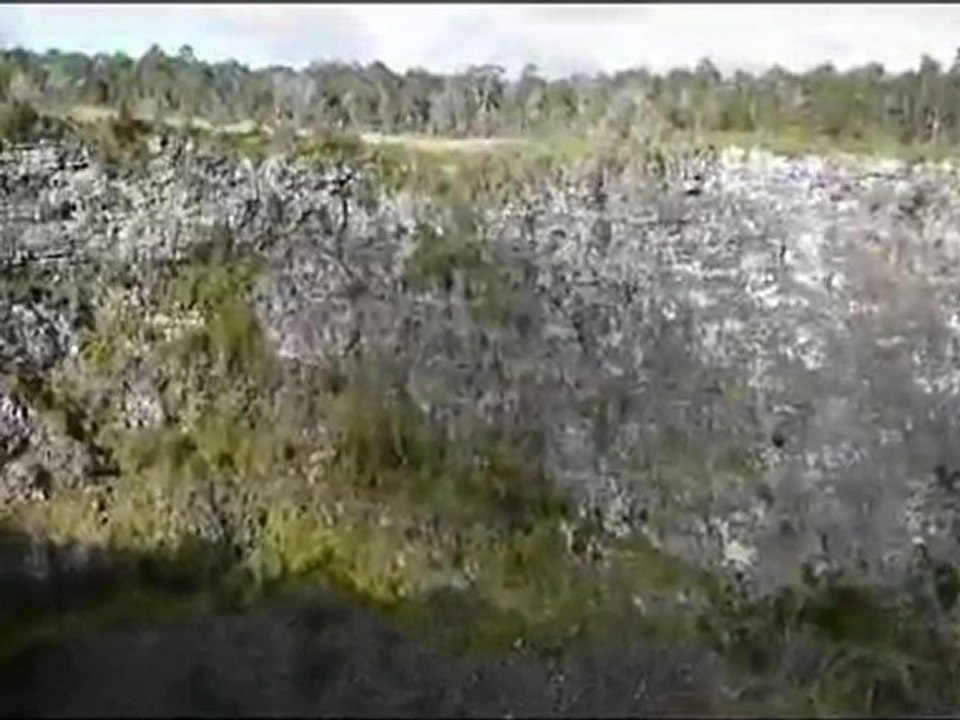 BIG ISLAND VOLCANS ET COULEES