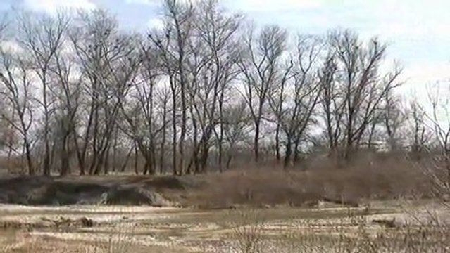 Весна пришла