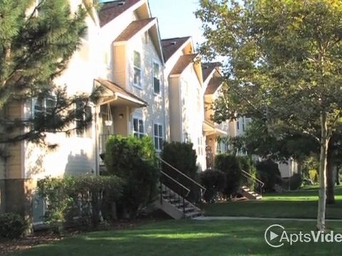 Davis Park / Stewart Avenue - Huge and Affordable! ...