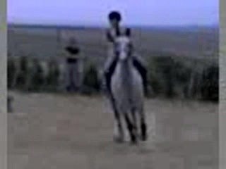 Idrack galop carriére