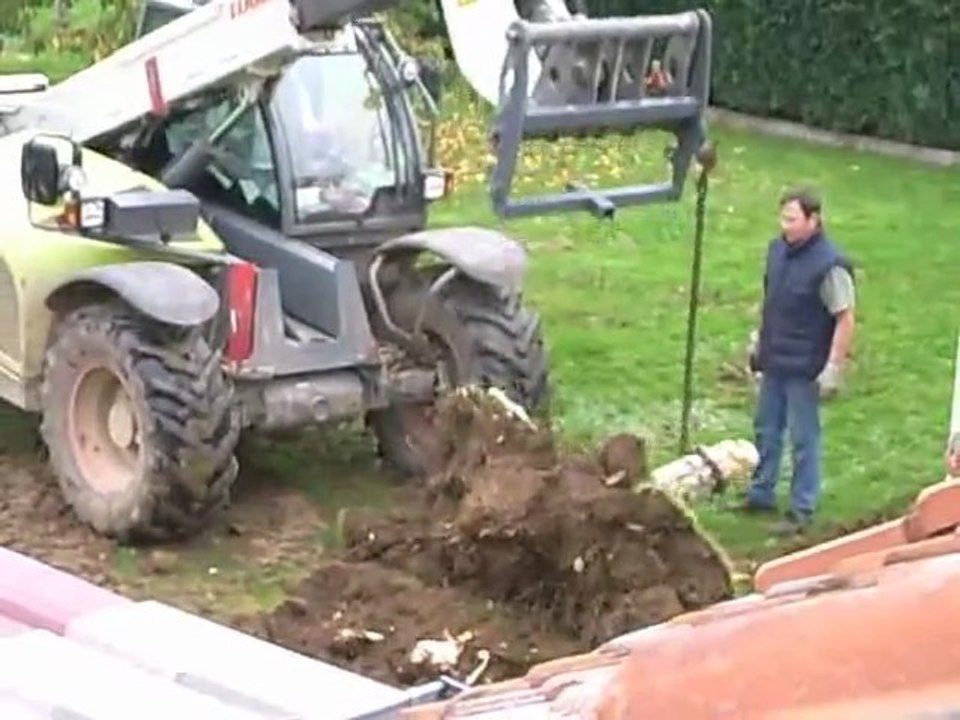 000.Arracher un arbre