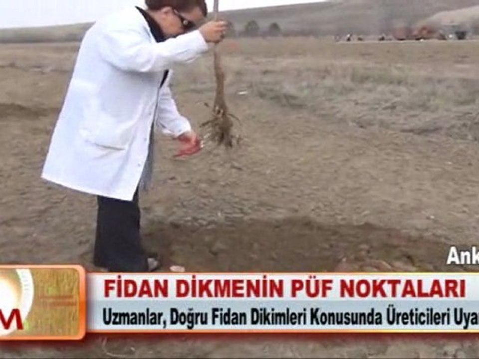 FİDAN DİKMENİN PÜF NOKTALARI 27.03.2012