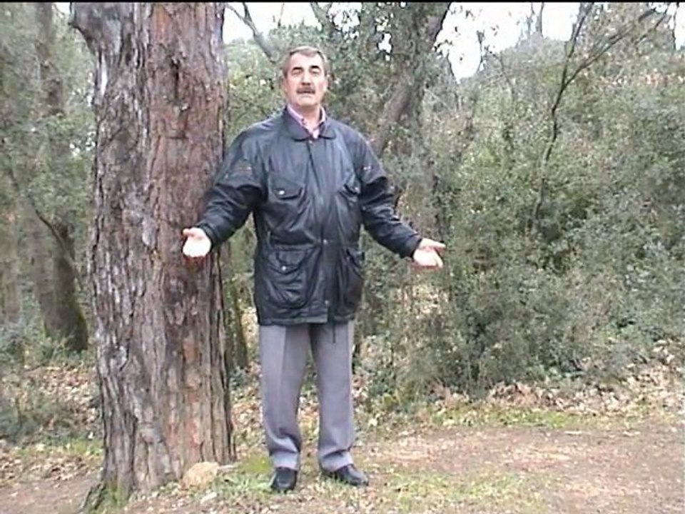 Süleyman Bozkurt - Bilemedim