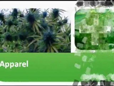 Medical Marijuana in San Francisco