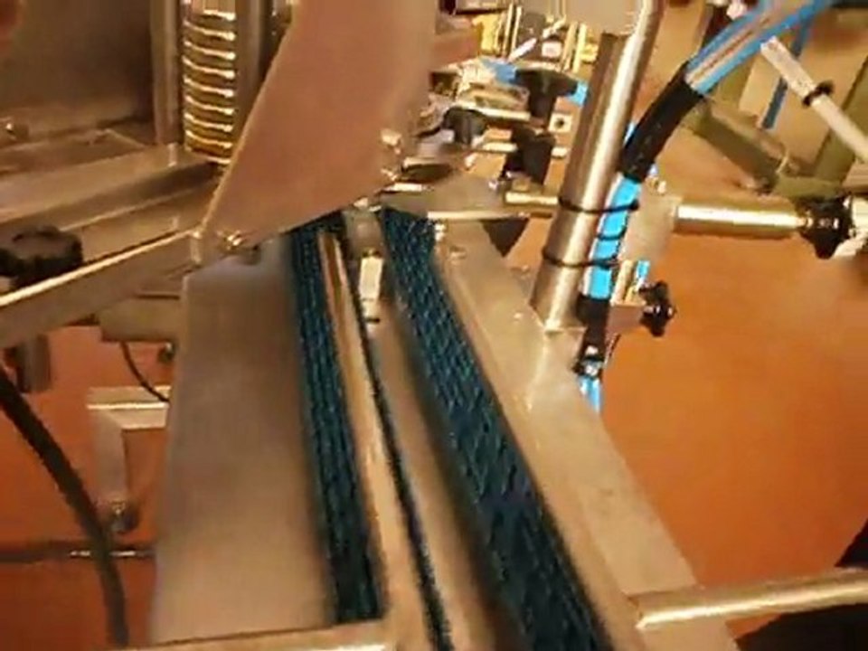 VIDEO CAPLIGHT