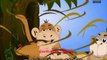 Jataka Tales - Jackal Stories - The Wise Jackal And Stupid Monkeys