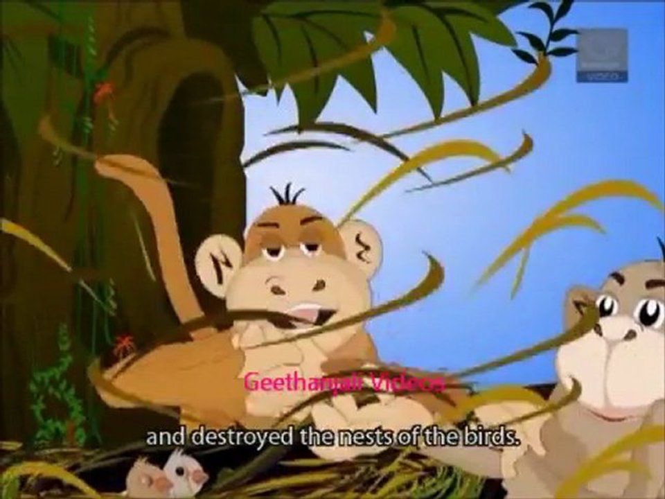 Jataka Tales - Jackal Stories - The Wise Jackal And Stupid Monkeys