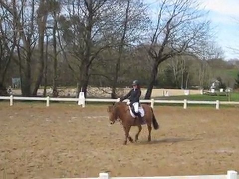 Concours de dressage Poney 2 Imposée Jeanne Flocon 18-03-12