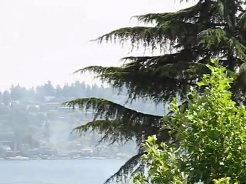 Blue Angels - SeaFair 2005