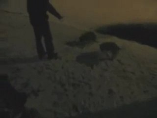 Snow Angels in Seattle