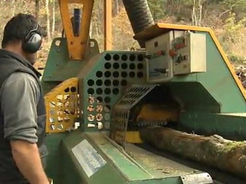 Chauffage au bois, une Energie Renouvelable