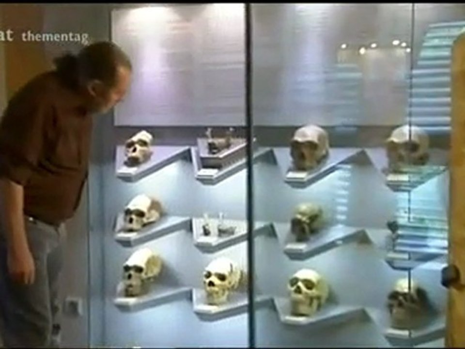 Homo heidelbergensis (3_3)