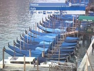 Washington - USA, Cannes - France, Hamburg - Germany, Doha - Qatar, Venice - Italy, Seattle - USA, Geneva - Switzerland