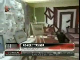 7. Yaşını Kutladı | Kocaeli Tv