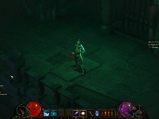 Diablo 3 : emotes du Sorcier Mâle