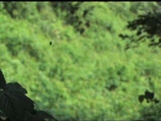 Kardeş Türküler - Herkes Kendi Gördüğüne Doğru Der Ya