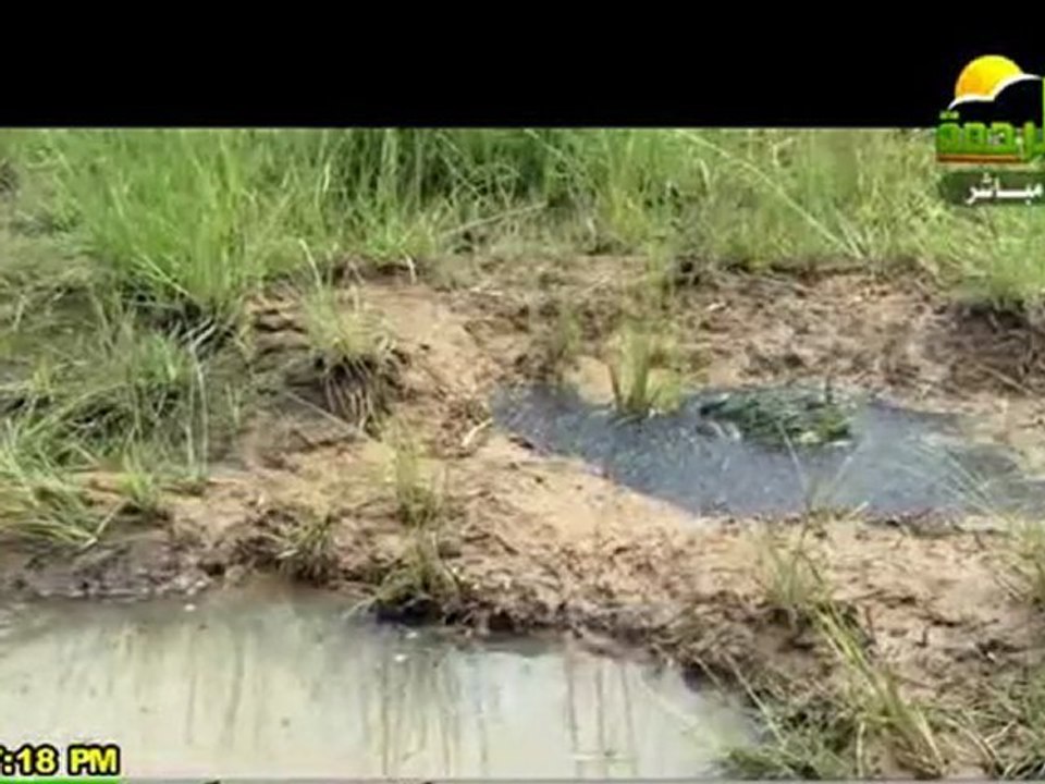 هذا خلق الله الشيخ/ أمين الأنصاري 2012/3/29 قناة الرحمة