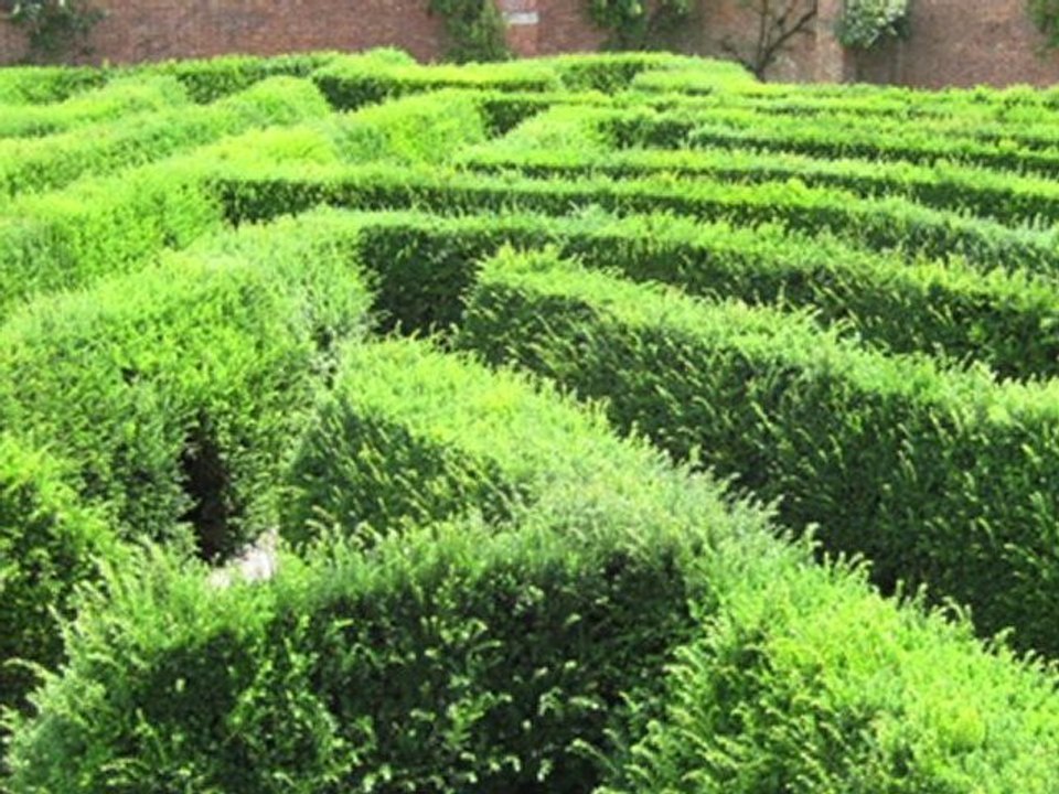 Is Inception Possible? Scientists Create False Memories in Mice