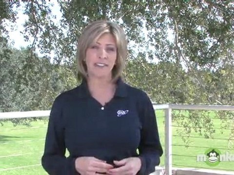 Rear-Facing Car Seat Facts