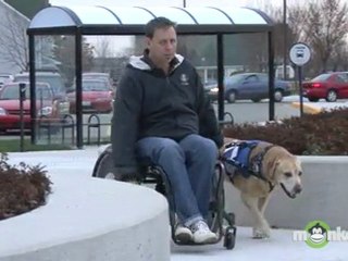 Assistance Dogs - Talk to Current Users