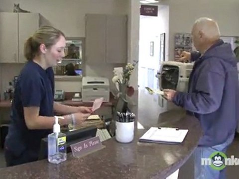 Where to Spay or Neuter Your Pet