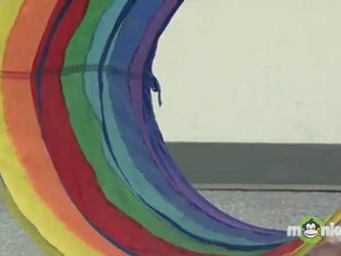 Cat Agility Training - Tunnels and Hoops