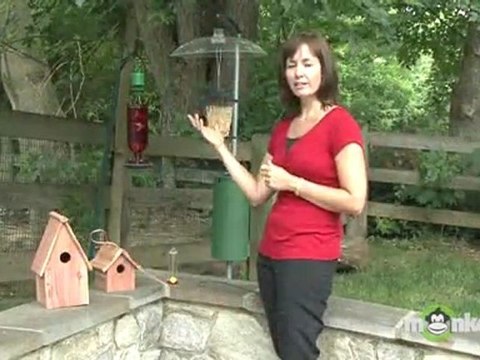 Attracting Birds - Bird Feeding Accessories