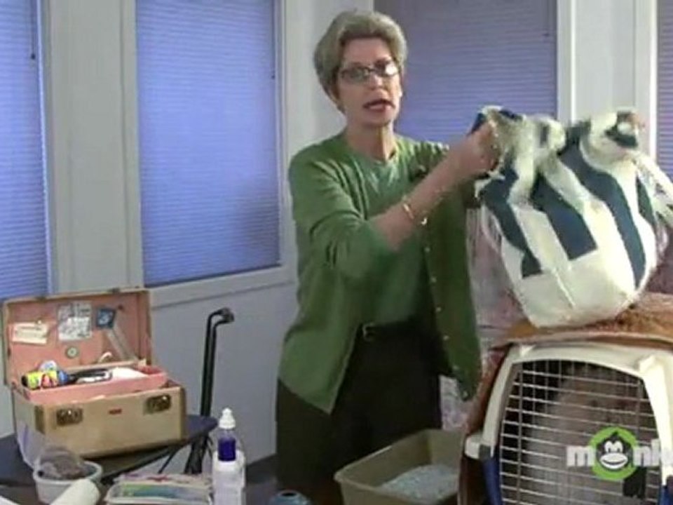 Preparing Supplies for the Cat Show