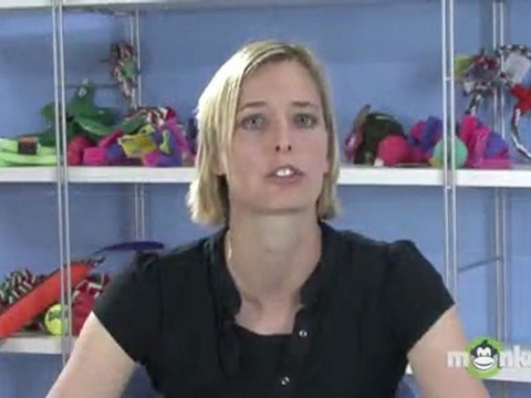 Dog Leash Training - Passive Heeling