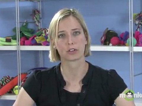 Dog Leash Training - Motivation and Management