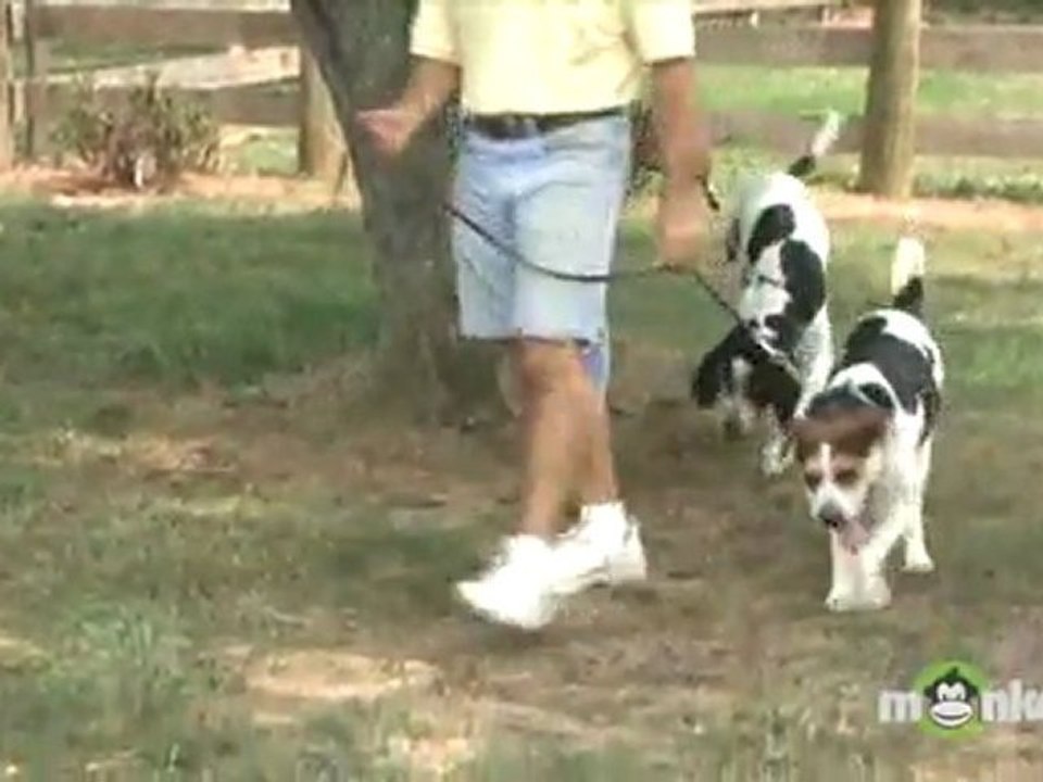 What criteria must an adopter meet to adopt a pet from a shelter?