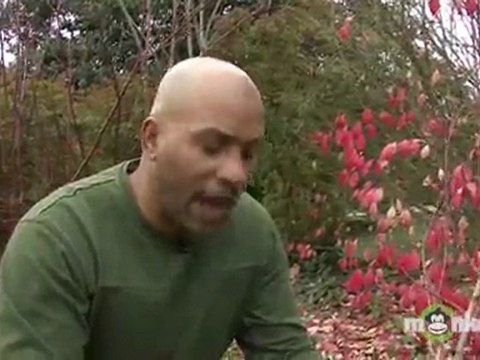 Planting Trees And Shrubs