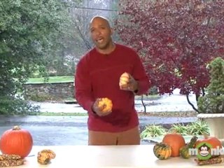 Tips For Picking A Pumpkin