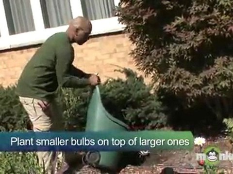 Planting Bulbs For Spring Flowers