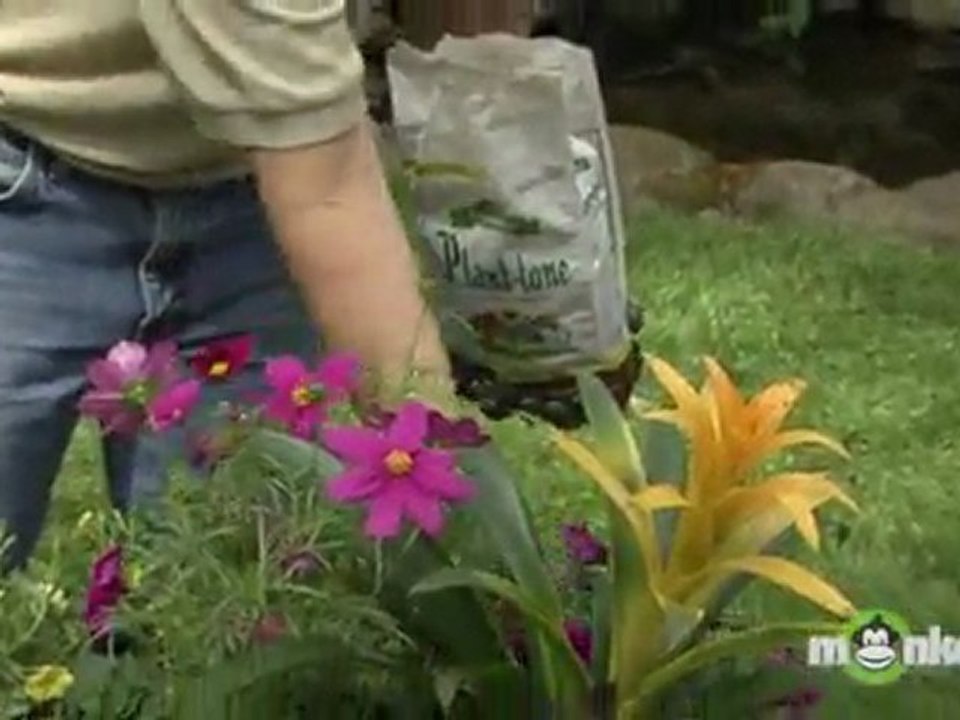 May Gardening Tips
