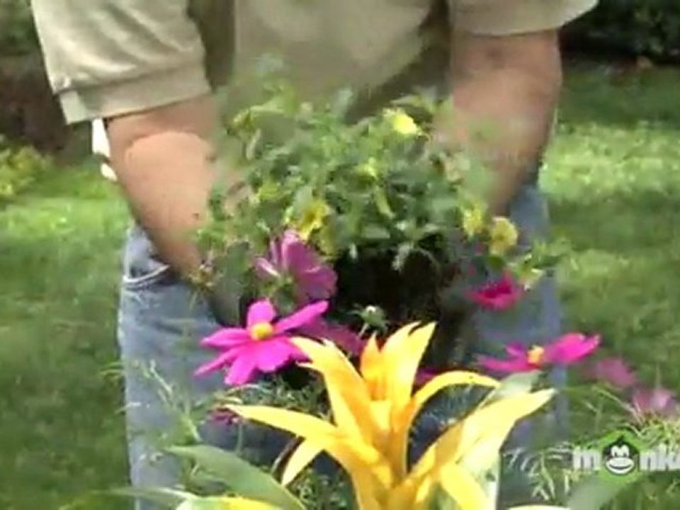 May Gardening Tips - Annuals