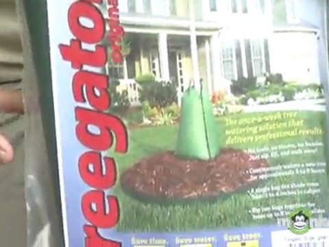 July Gardening Tips - Watering in Summer