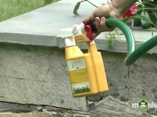 July Gardening Tips - Mosquito Control in the Garden
