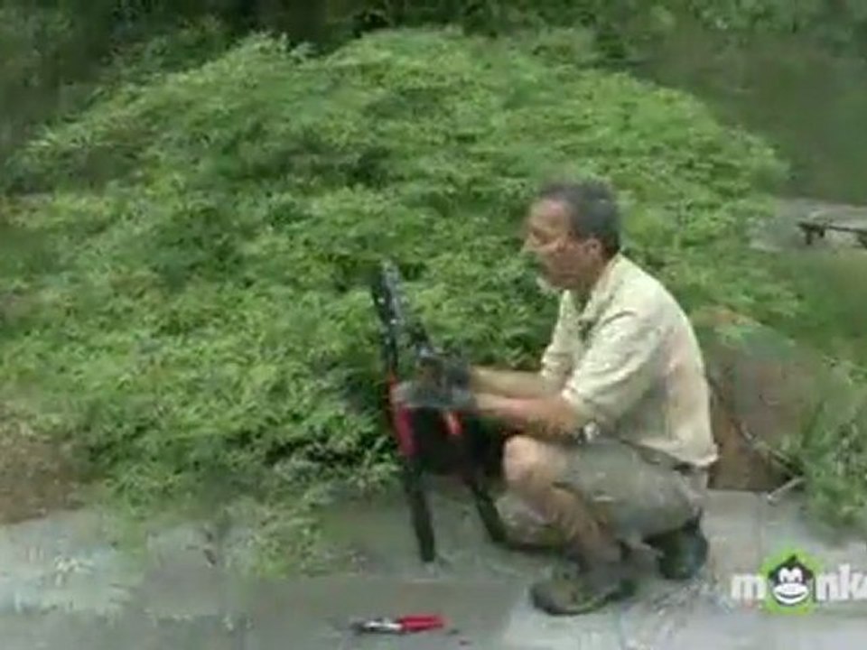 July Gardening Tips - Pruning in Summer