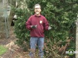 April Gardening Tips - Trees and Shrubs
