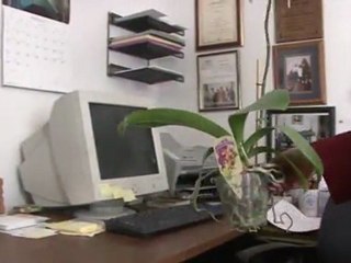 How to Spring Clean with Feng Shui