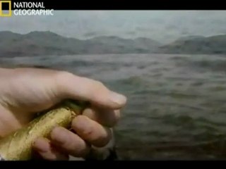 Aux frontières de la science et du paranormal: le lac tueur