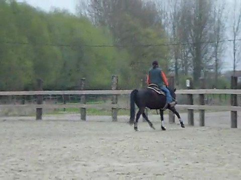 Quina le 30.03.2012 017