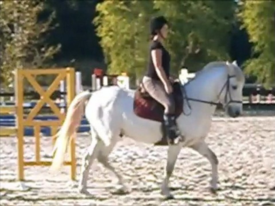 loulou